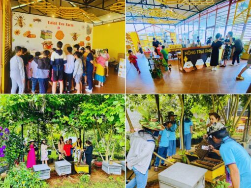 Tour The Florest Hoa Trong Rừng – Chùa Linh Ẩn – Cafe Thúy Thuận