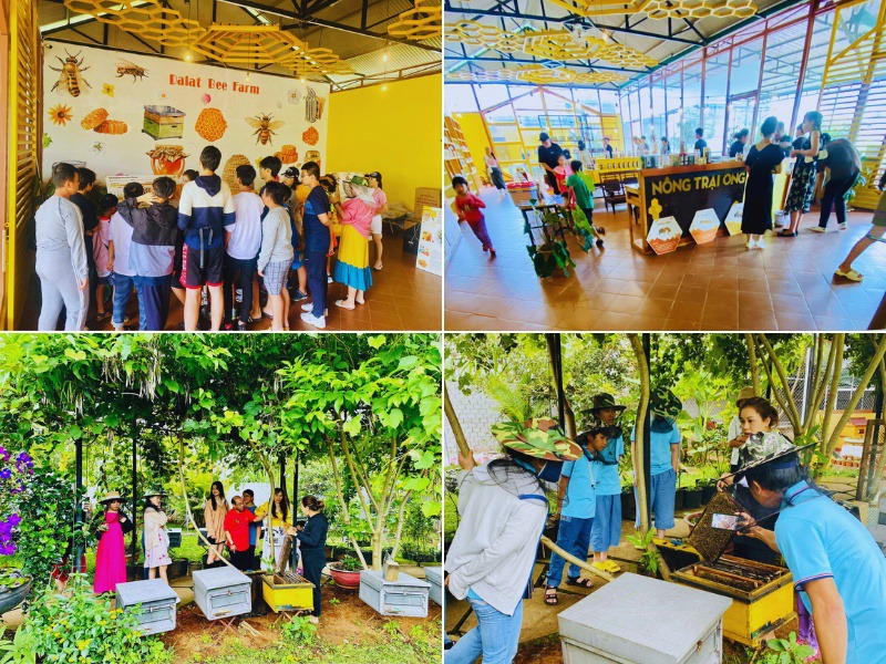 Tour The Florest Hoa Trong Rừng – Chùa Linh Ẩn – Cafe Thúy Thuận - Image 3