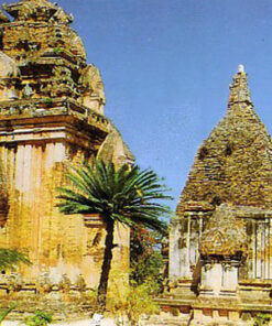 Tour Mỹ Sơn từ Đà Nẵng (1N) - Image 1