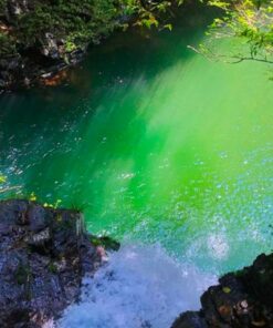 Tour Vườn Quốc gia Bạch Mã (2N1Đ) - Image 5