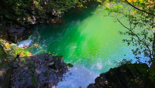 Tour Vườn Quốc gia Bạch Mã (2N1Đ)