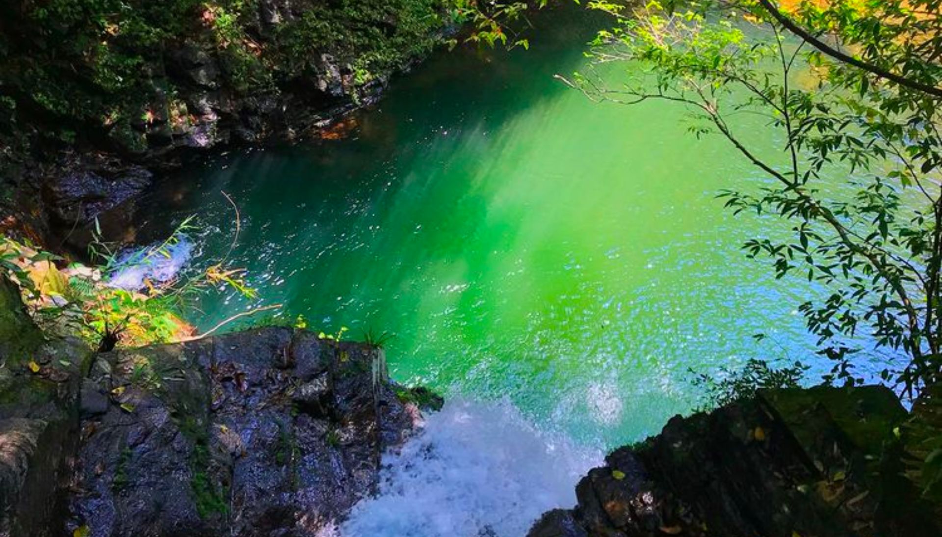 Tour Vườn Quốc gia Bạch Mã (1N)