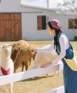 Tour Khám Phá Đà Lạt (Quảng Trường Lâm Viên – Puppy Farm – Dinh Bảo Đại – Green Hill) - Image 1