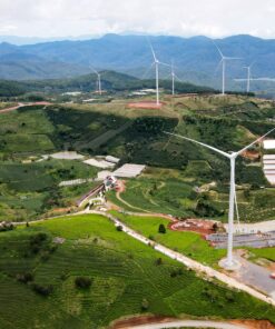 Tour Săn Mây Đà Lạt – Bình Minh Trên Cầu Đất - Image 3