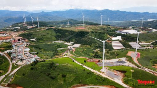 Tour Săn Mây Đà Lạt – Bình Minh Trên Cầu Đất