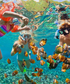 Scuba Diving Tour Lặn Biển Khách Việt Nam - Image 4