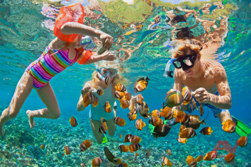 Scuba Diving Tour Lặn Biển Khách Việt Nam