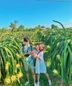 Tour Liên Tuyến Nha Trang - Mũi Né (5N4Đ) - Image 2