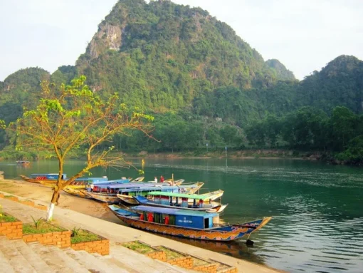 Vườn Quốc gia Phong Nha - Kẻ Bàng (1N)