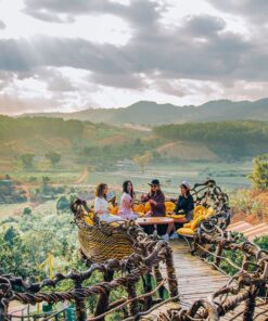 Tour The Florest Hoa Trong Rừng – Chùa Linh Ẩn – Cafe Thúy Thuận - Image 1