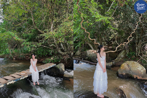 Tour Đà Lạt Full (3N2Đ)