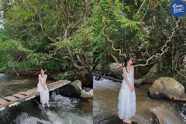 Tour Đà Lạt Full (3N2Đ)