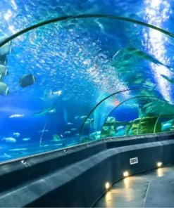 Tham Quan Thành Phố Nha Trang (City Tour) - Image 1