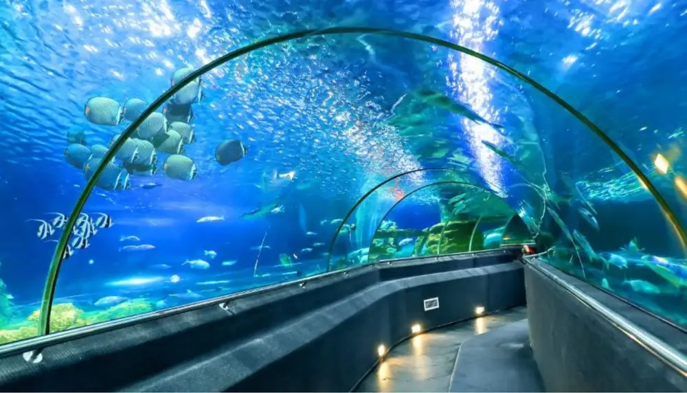 Tham Quan Thành Phố Nha Trang (City Tour)