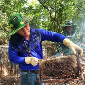 Combined Tour: Cu Chi Tunnels – My Tho – Ben Tre (1 Day)