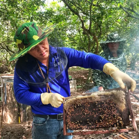 Combined Tour: Cu Chi Tunnels - My Tho - Ben Tre (1 Day)
