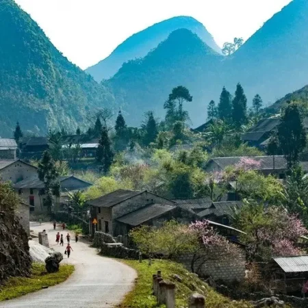 Lotus Ha Giang loop 4 days 3 nights tour - Homestay
