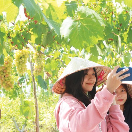 Nha Trang Tour: White Sand Beaches (5 Days 4 Nights)