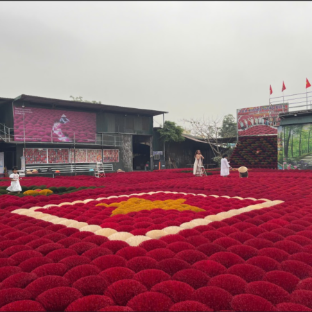 Hanoi's Huong Village and Non Village Excursion (Half Day)