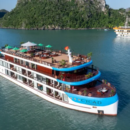 Cycad Cruise 6* Ha Long (2D1N)