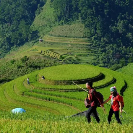 Mu Cang Chai Tour (2 Days 1 Night)