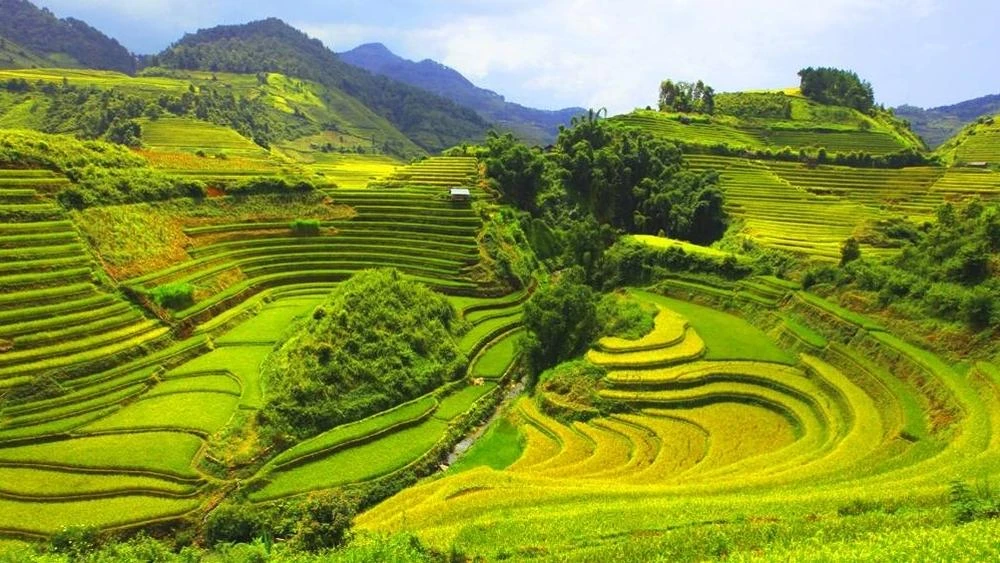 Mai Châu