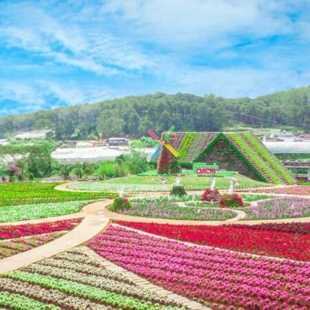 Fresh Garden Tour – Domaine Church – Nomadic Region – Linh Phuoc Pagoda – Sunset Train Grill Restaurant (1 Day)