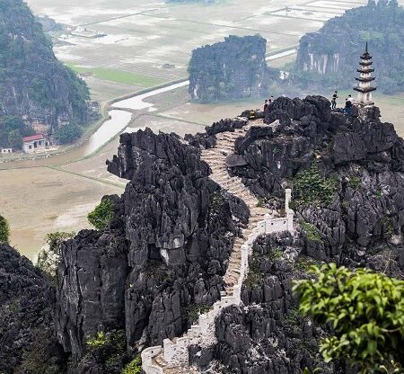 Cozy Bai Dinh Trang An Ninh Binh (1 Day)