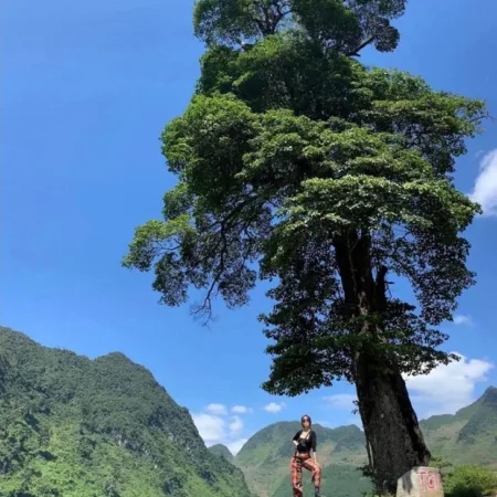 Lotus Ha Giang loop 3 days 2 nights tour - Homestay