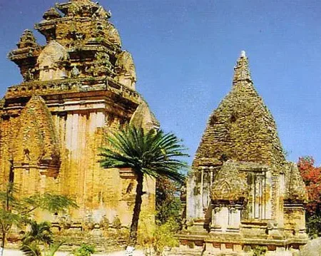 My Son Tour from Da Nang (1 Day)