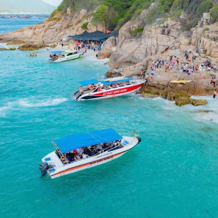 Cham Island pick-up at Cua Dai Port (1 Day)