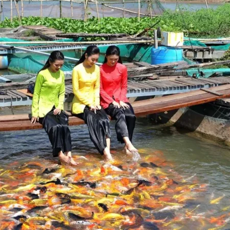 Multi-city Tour: My Tho - Ben Tre - Chau Doc - Can Tho - Tay Ninh (4 Days 3 Nights)
