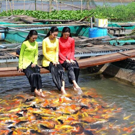 Multi-city Tour: My Tho - Ben Tre - Chau Doc - Can Tho - Tay Ninh (4 Days 3 Nights)
