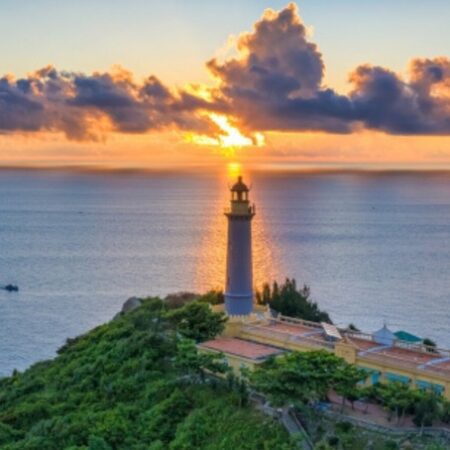 Phu Yen Tour: The Beauty of the Nẫu Region (3 Days 2 Nights)