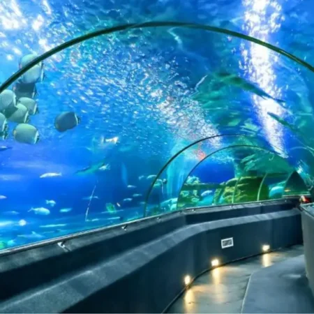 Nha Trang City Tour (1 Day)
