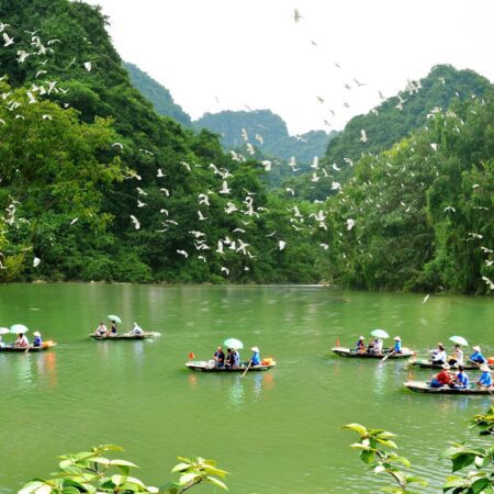 Daily Gat Tour Ninh Binh (NB7) (1 Day)