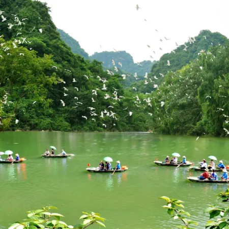 Daily Gat Tour Ninh Binh (NB7) (1 Day)