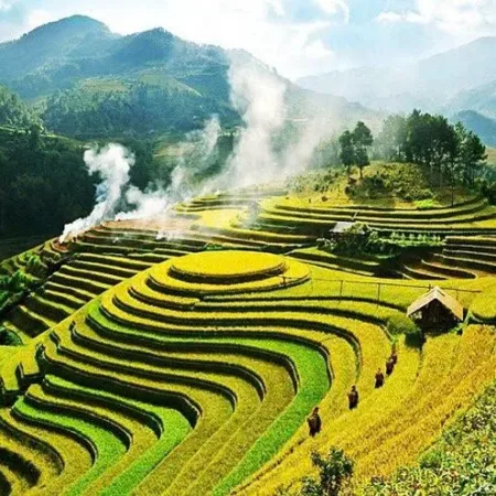 Lan's Mu Cang Chai - Golden Terrace Field 2 nights 1 day
