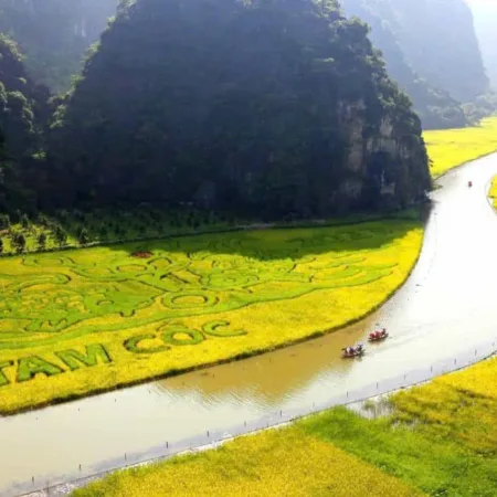 Daily Gat Tour Ninh Binh (NB8) (1 Day)